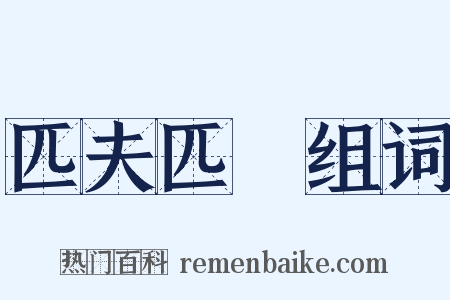 匹夫匹婦组词是什么意思的图片